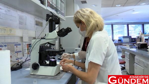 TÜRKİYE'DE AŞI GÖNÜLLÜLERİ SAĞLIK ÇALIŞANLARI OLDU AŞI 1